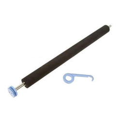 Transfer Roller Asm
