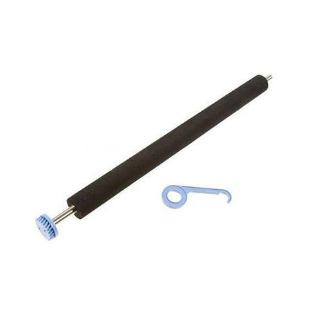 Transfer Roller Asm