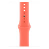 Smart Wearable Accessories