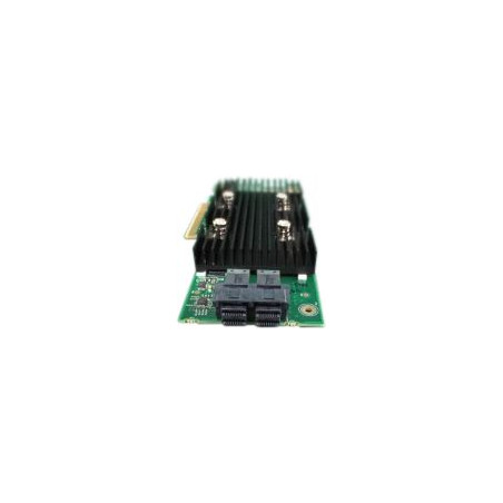 Host Bus Adapter supporting