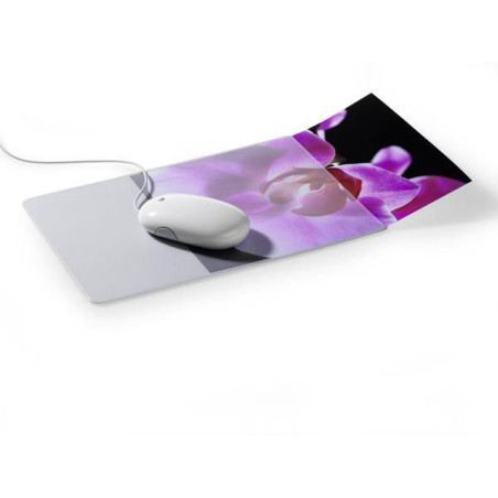 5747-19 Transparent