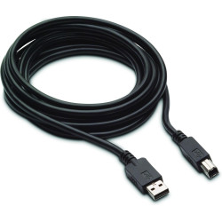 300cm DP+USB B-A CABLES