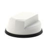 2x2 MiMO 4G/5G + 3x3 MiMo