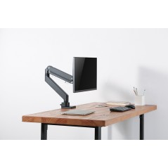 newstar-neomounts-desk-mount-10-49-12.jpg