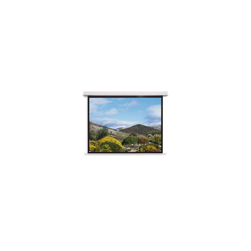 Screen Surface Assembly