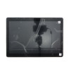 LCD Module Assembly for