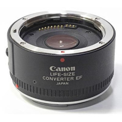 LIFE SIZE CONVERTER EO