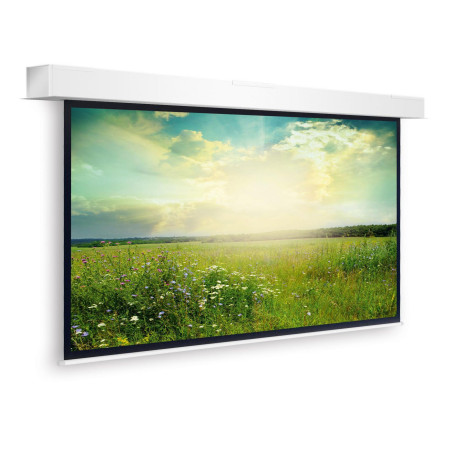 Descender Large Electrol WS