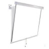 FlexScreen 155x155 Matte White