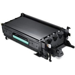 Transfer Belt