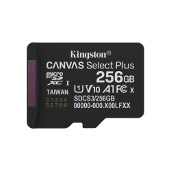 256Gb Micsdxc Canvas Select | APLIUM