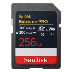 Extreme Pro 256 Gb Sdxc | APLIUM