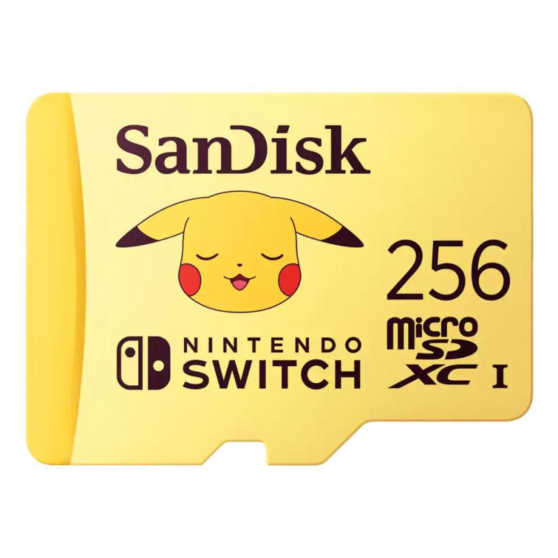 SanDisk - Tarjeta de memoria flash - 256 GB - Video Class V3 | APLIUM
