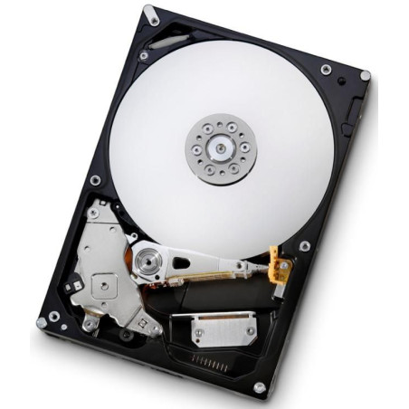250GB Hard Drive (7K1000.B | APLIUM