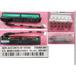 96W Smart Storage Battery