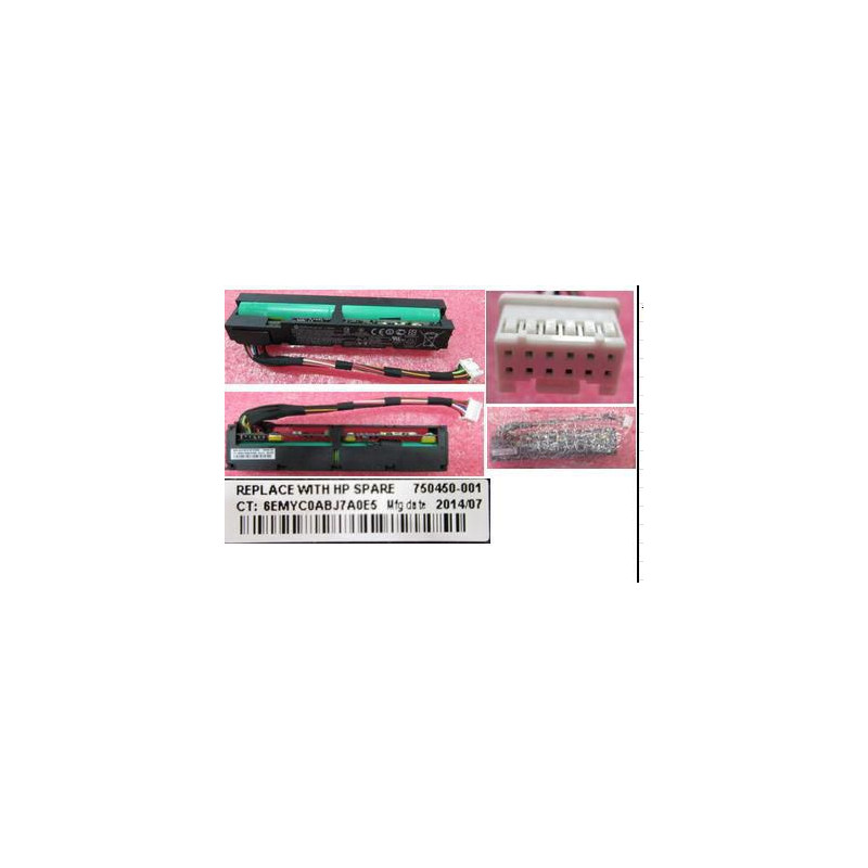 96W Smart Storage Battery