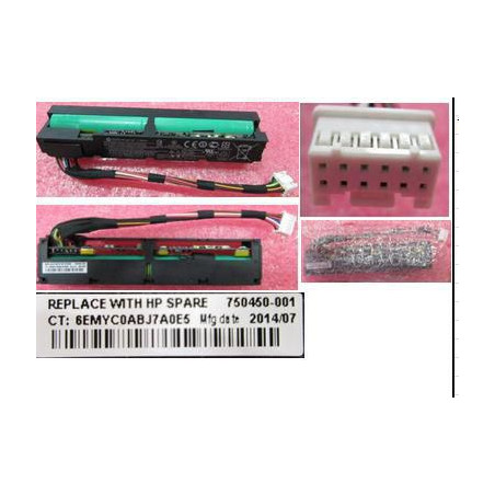 96W Smart Storage Battery