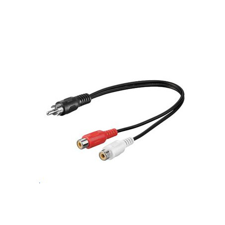RCA - 2xRCA 0,20m M-F