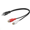 RCA - 2xRCA 0,20m M-F