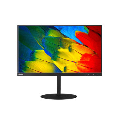 TS/ThinkVision T24m/23.8"/1920x1080 FHD