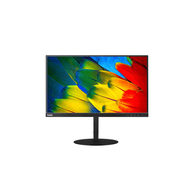 TS/ThinkVision T24m/23.8"/1920x1080 FHD