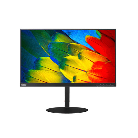TS/ThinkVision T24m/23.8"/1920x1080 FHD