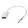 USB to mini Jack Adapter,