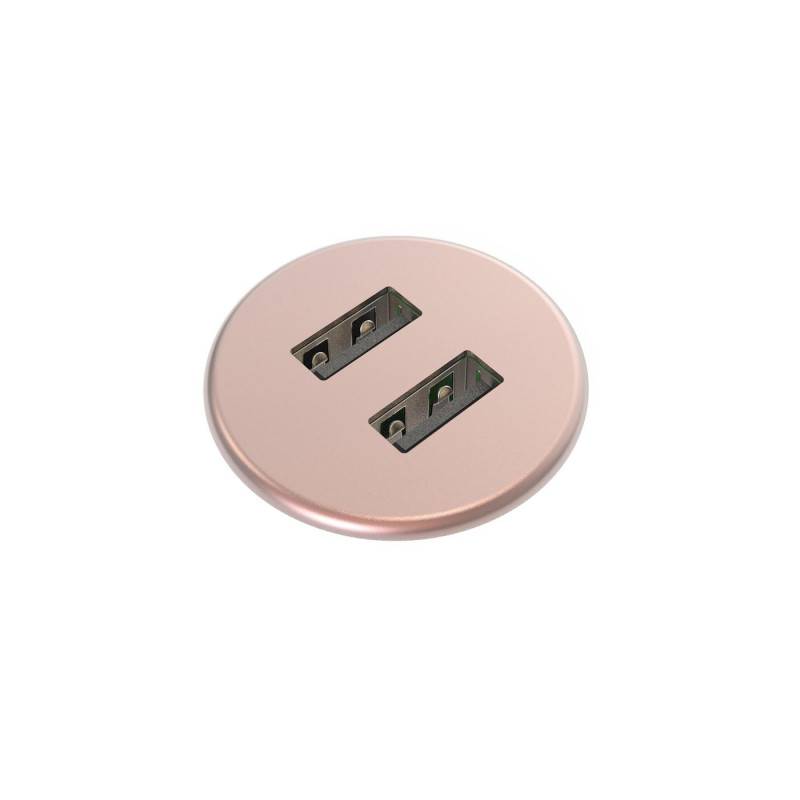 Powerdot MICRO - 2 USB-A