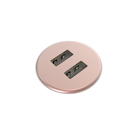 Powerdot MICRO - 2 USB-A