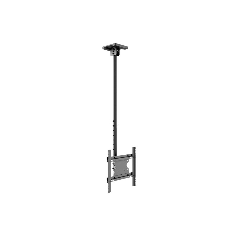 M Public Ceilingmount Medium