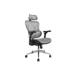 Ergonomic Premium Office | APLIUM