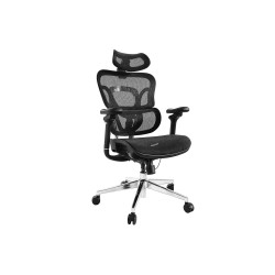 Ergonomic Premium Office | APLIUM