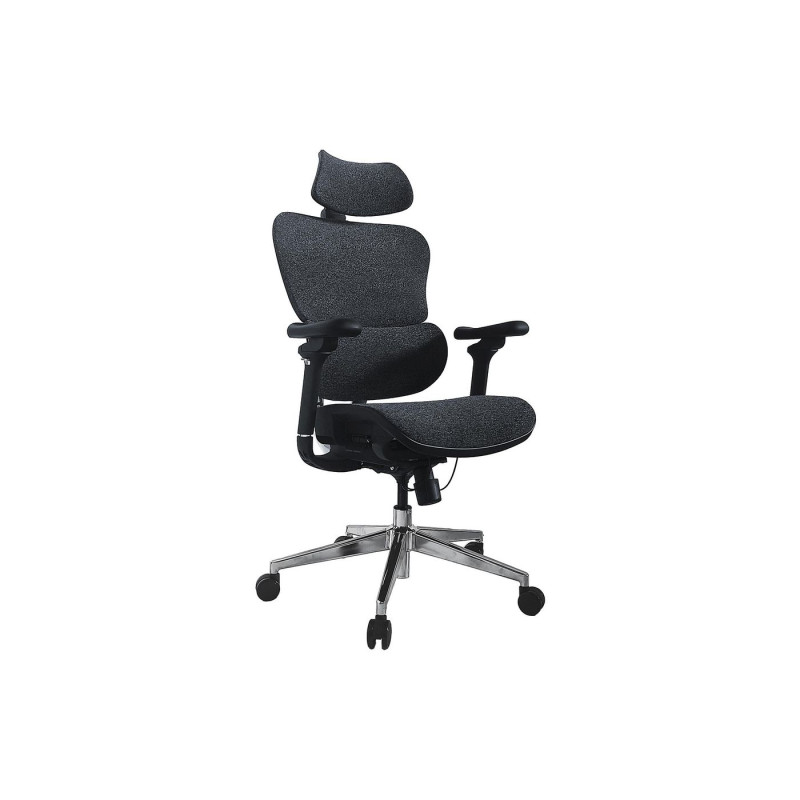 Ergonomic Premium Office | APLIUM