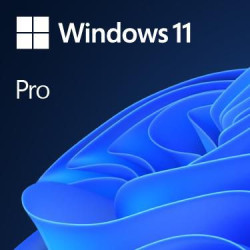 Windows 11 Pro 64 bit OEM | APLIUM