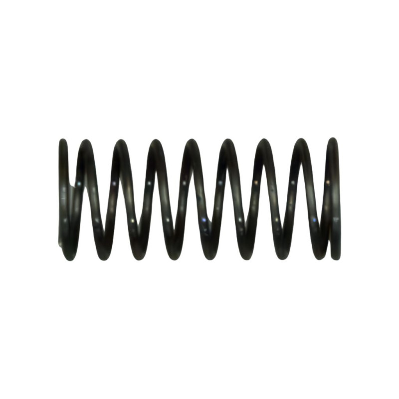 Exit roll spring for HP