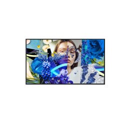 DS-D6055UN-DP, 55-inch UHD