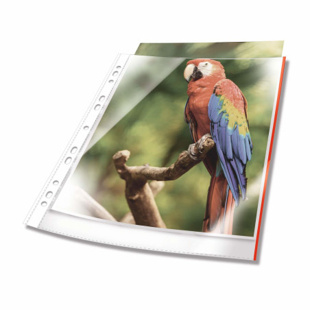 Sheet Protector A4 | APLIUM