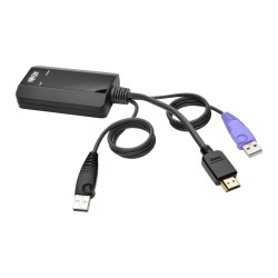 Netdirector Hdmi Usb Server | APLIUM
