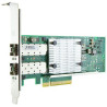 Network Card Internal