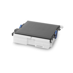 Transfer Belt
