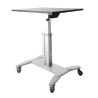Mobile Sit Stand Workstation | APLIUM