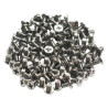 Screwpack F M.2SSD Installation 96 Pieces Flathead Machine S | APLIUM