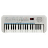 Remie Digital Synthesizer 37 | APLIUM