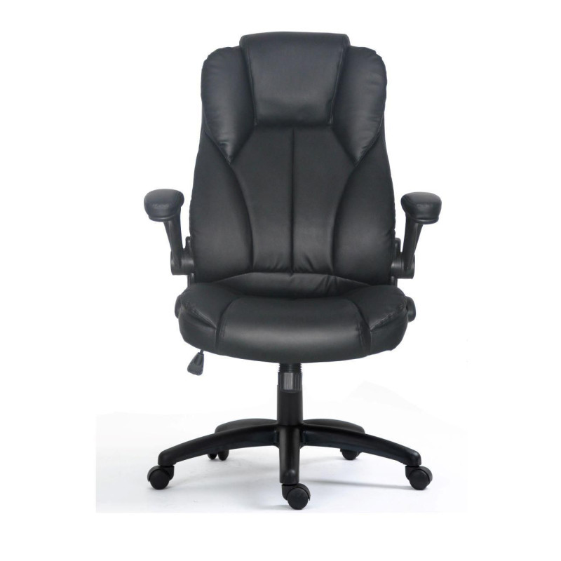 Ergonomic Executive | APLIUM