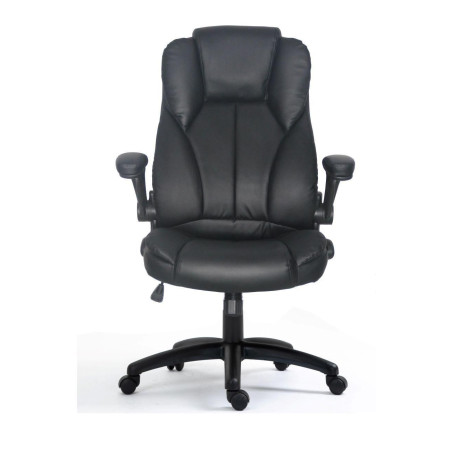 Ergonomic Executive | APLIUM
