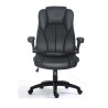 Ergonomic Executive | APLIUM