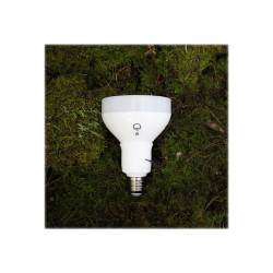 LIFX Nightvision - Bombilla LED - forma: BR30 - E27 - 11.5 W (equivale
