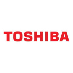 Toshiba N300 NAS - Disco duro - 18TB - interno - 3.5" - SATA | APLIUM
