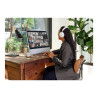 Bang & Olufsen Cisco 980 - Auricular - tamaño completo - Blu | APLIUM