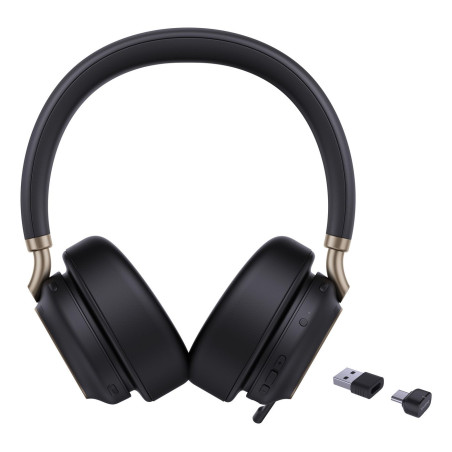 BH76 Plus - Headset - on-ear